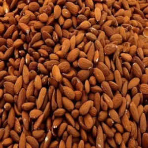 nutrient-rich walnuts exporter