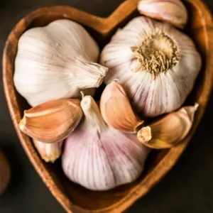 Fade-tech fresh Garlic supplier