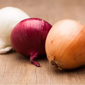 bulb onion exporter