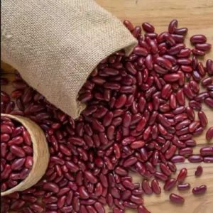 red-beans exporter