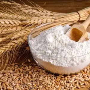 cooking Wheat Flour exporter