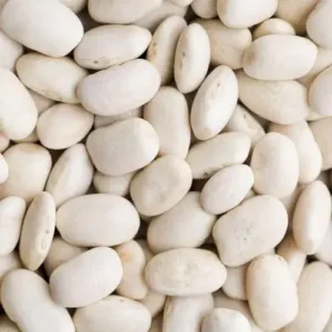white-bean supplier
