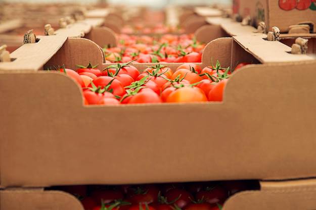 food supply chain